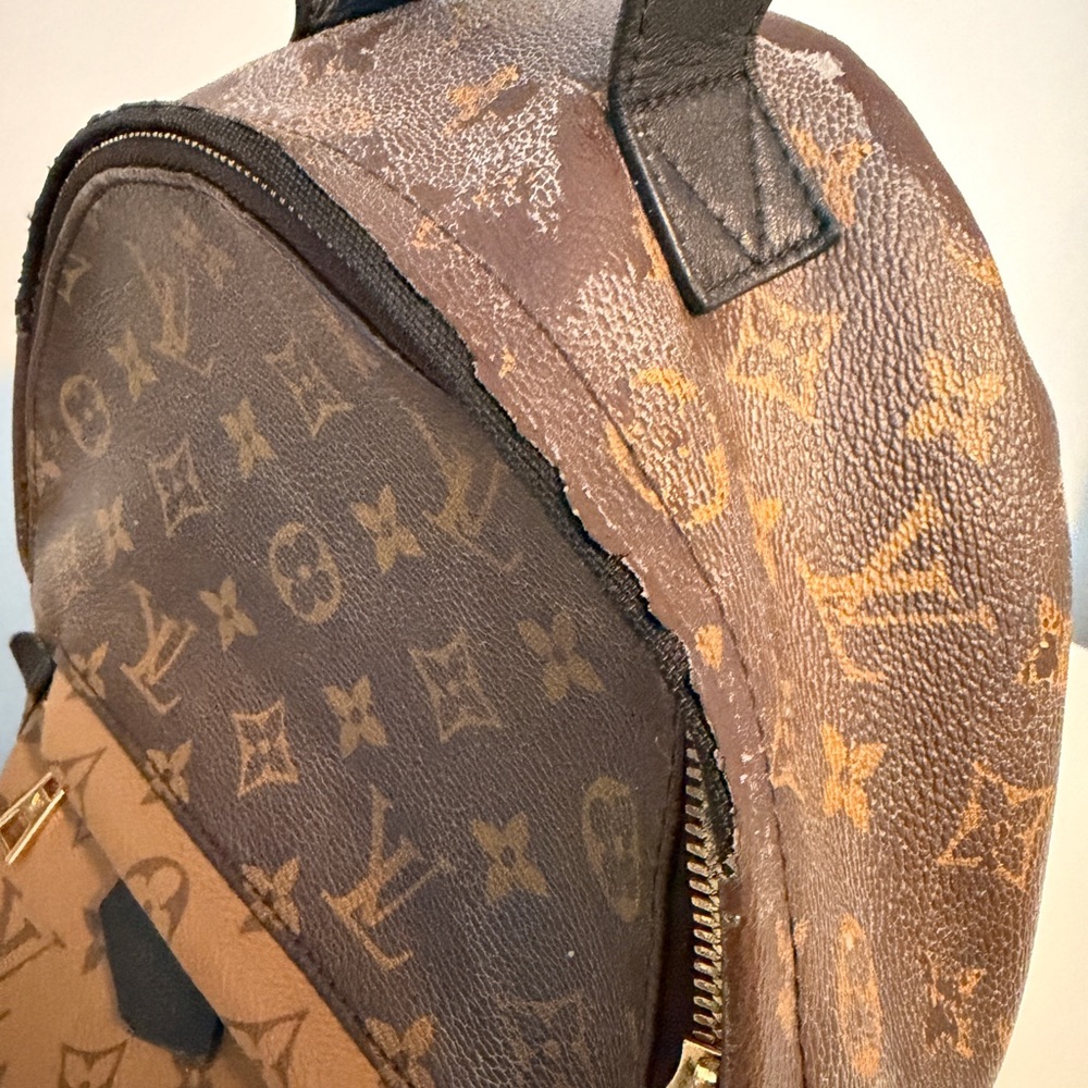 Louis Vuitton Monogram Pm Backpack - image 8